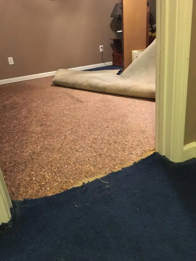 Carpet pad removal revealing water damage during Water Mitigation Services in North Potomac