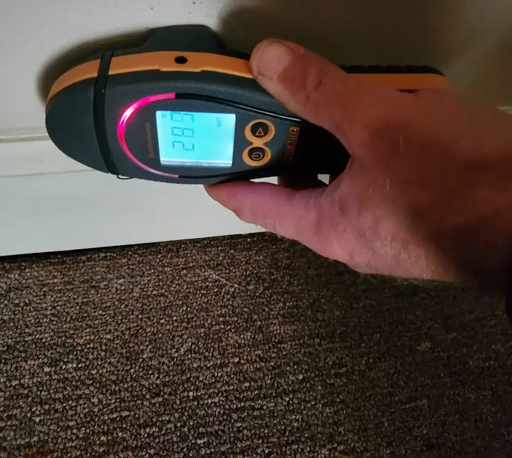 Moisture detection at baseboard during Sewage Cleanup & Sanitation in North Potomac